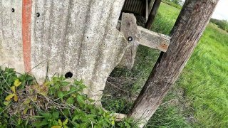 Big tits slapped hard in public - outdoor bdsm humiliation